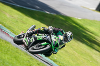 Lower Group Green Bikes